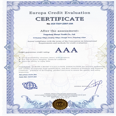 Europa Credit Evaluation00 - Europa Credit Evaluation00 -
